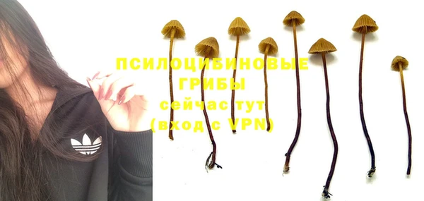 первитин Липки