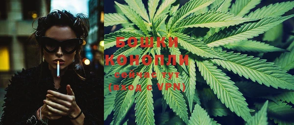 стафф Ладушкин