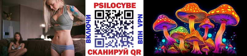 Галлюциногенные грибы мицелий  Купить где  Гатчина 