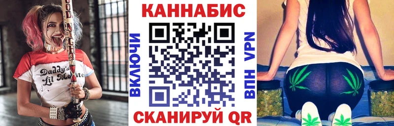 Канабис конопля Купить Гатчина